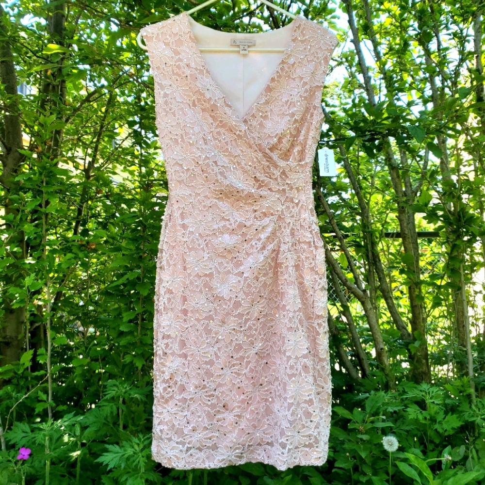 Blush pink lace embellished sequined dress
